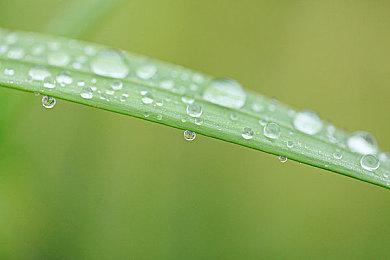 原田胜宏解释《铁拳8》三岛平八再次复活：玩家需要